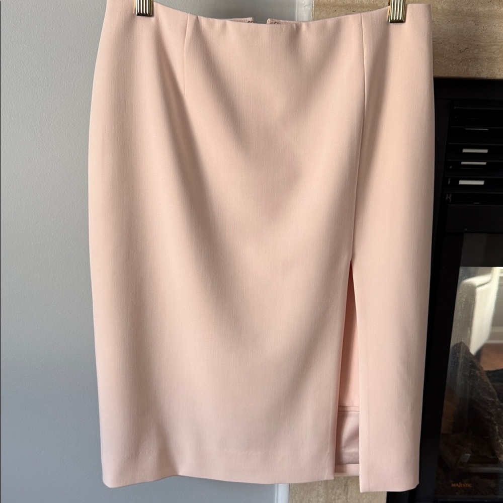 Elegant baby Pink Women's Skirt from WHBM